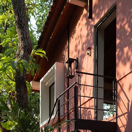 La Paranera Hotel & Relax Comala ภายนอก รูปภาพ