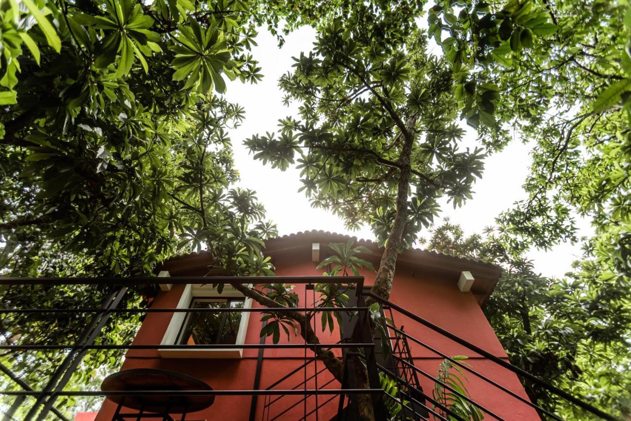 La Paranera Hotel & Relax Comala ภายนอก รูปภาพ